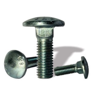 Carrige Bolt-M10x1.50x30-FTI 8.8